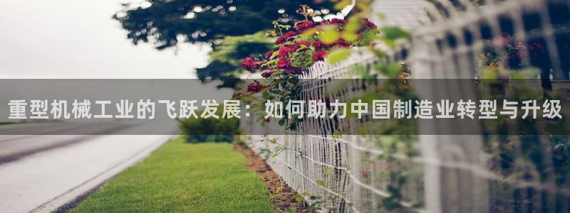 龙八国际app是什么