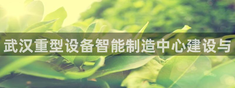 龙八国际靠谱吗