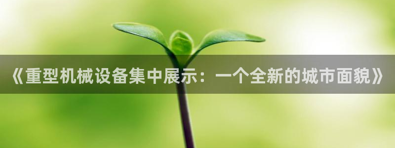 龙八国际网页long8868