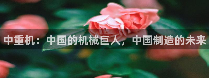 龙八国际官网苹果