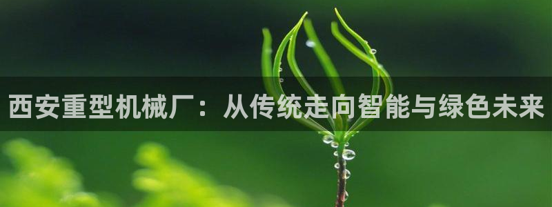 龙八国际app官方网站