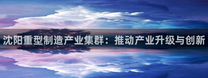 龙八国际是干什么的