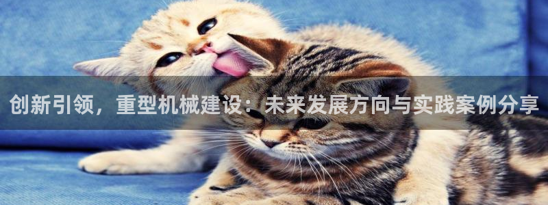 龙八国际娱乐靠谱吗