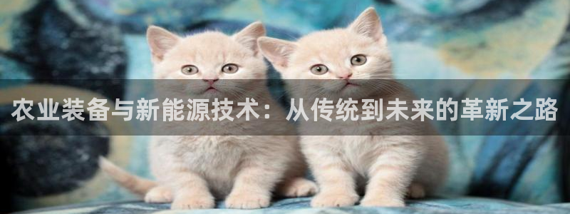 龙八国际app下载手机客户端