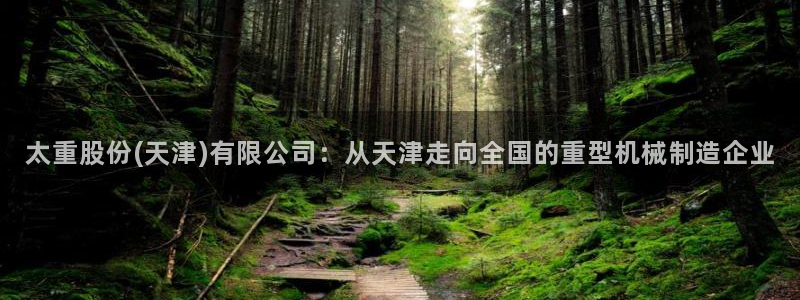 冯文戈 龙八国际集团