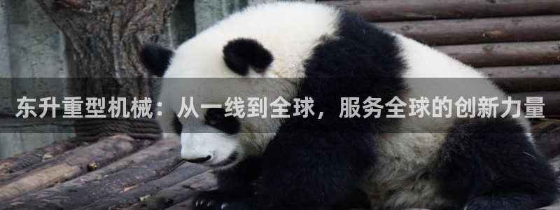 龙八国际app官方下载