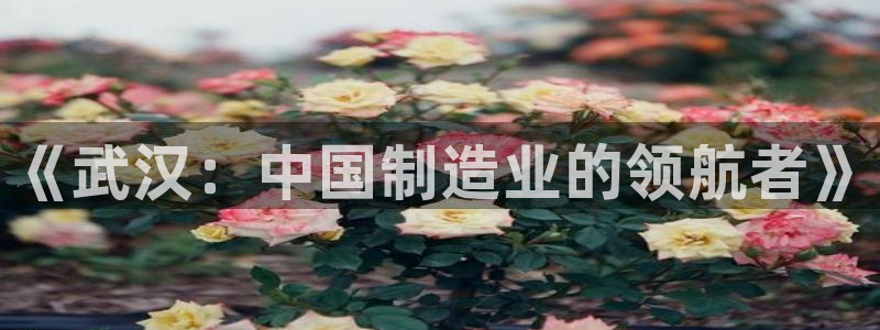 龙八国际城网站