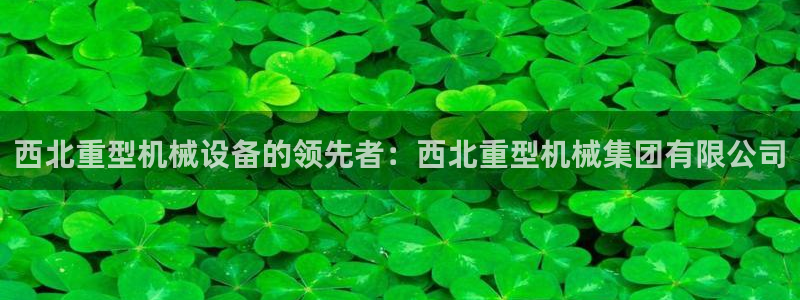 龙八国际登官网