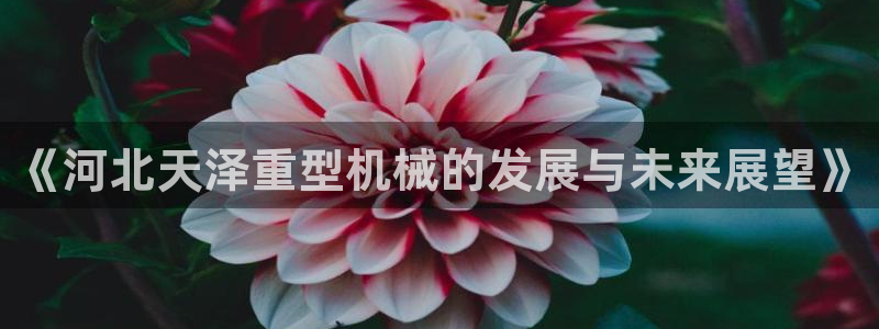 龙八国际pt娱乐老虎机
