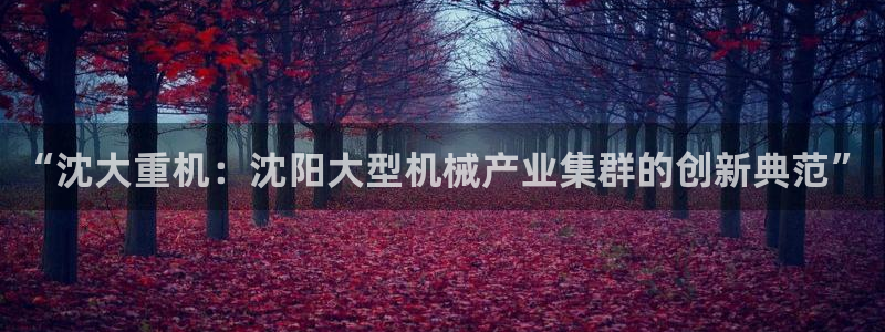 龙八国际网页long123