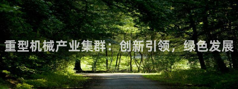 龙八国际华