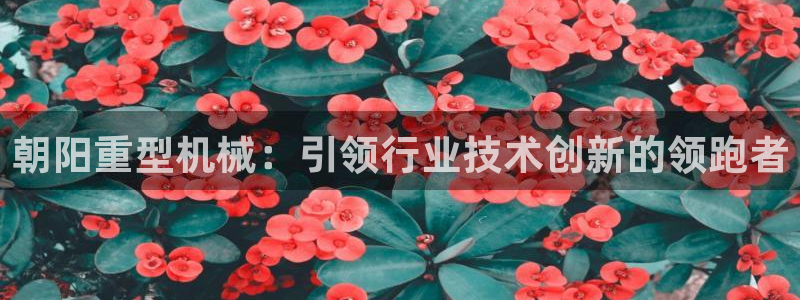 龙八国际手机app