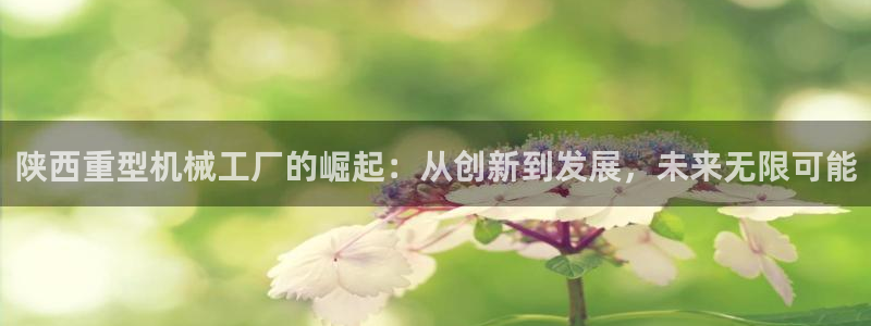龙八国际服
