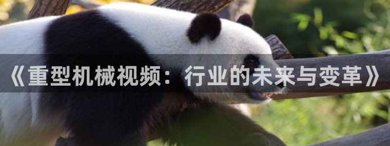 龙八国际手机网页版