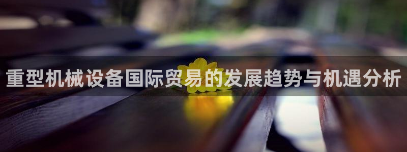 龙八国际app安卓