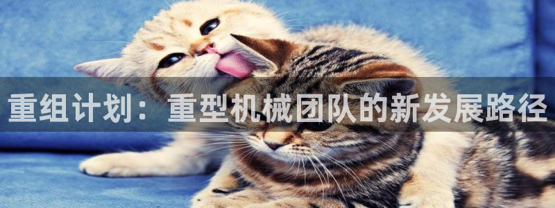 龙八国际服