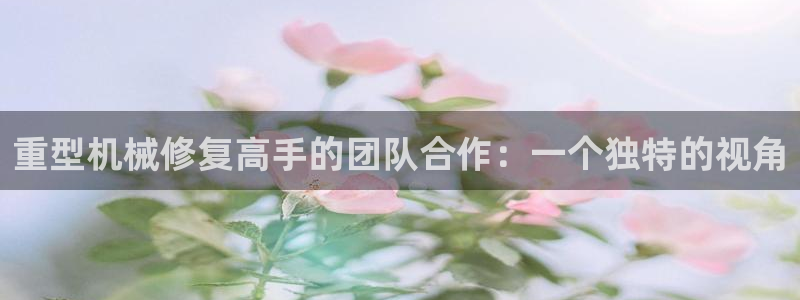 龙八国际视频入口