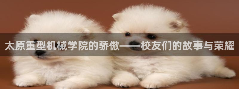 龙八国际官方网站pt