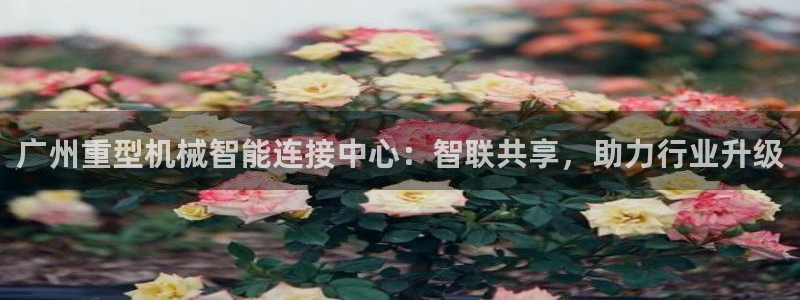 龙八国际网址视讯平台