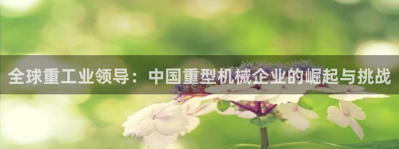 龙八国际游戏
