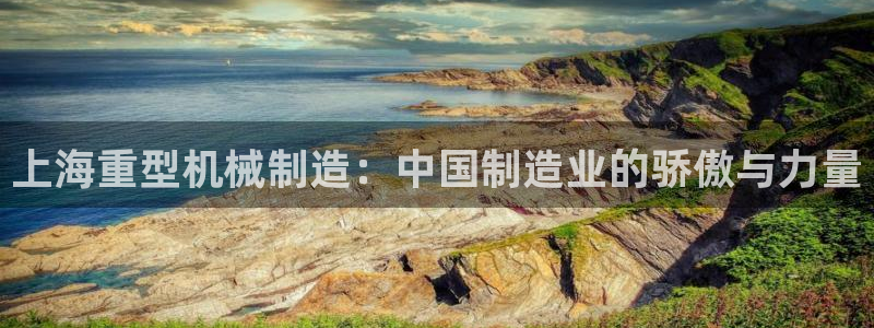 龙八国际图片