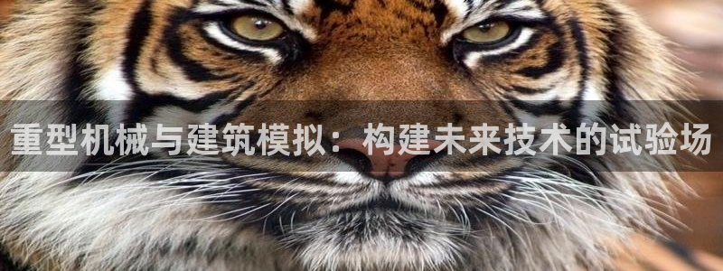 龙八国际娱乐城