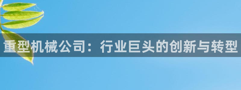 龙八国际娱乐实力如何