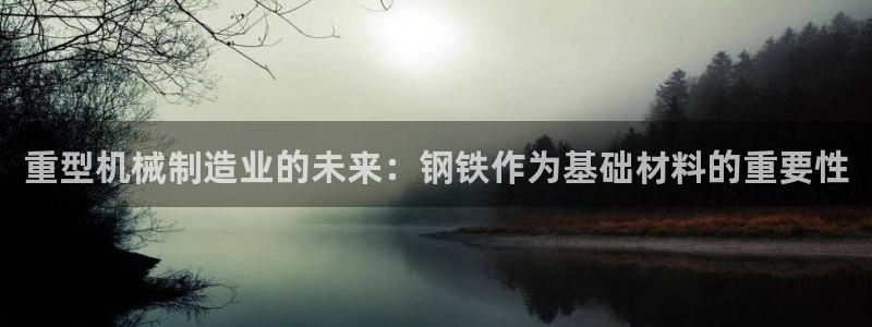 龙八国际 我的