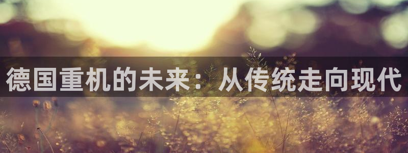 龙八国际娱乐场