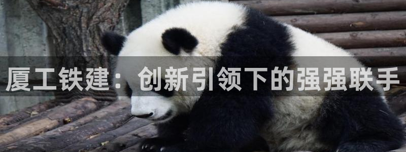 龙八国际网页版