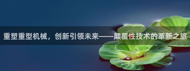 龙八国际赌博经验