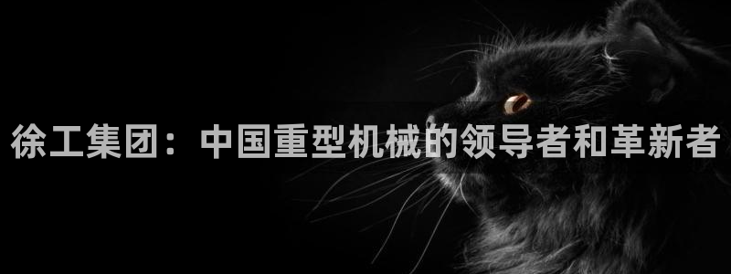 菲律宾的龙八国际