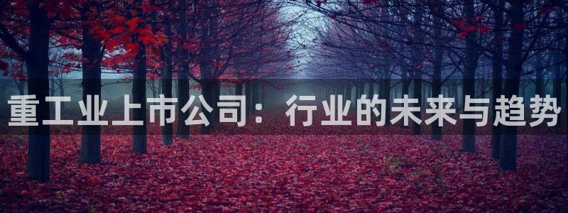 龙八国际相仿平台