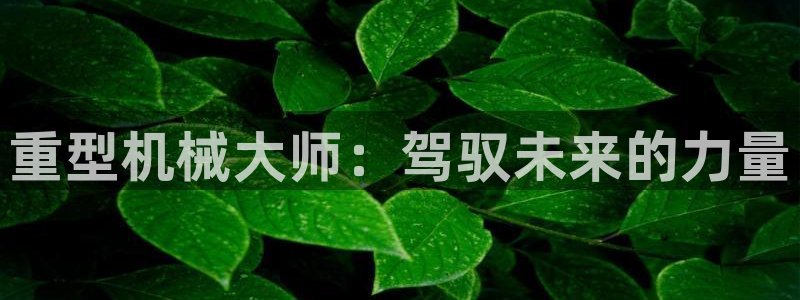龙八国际手机版首页
