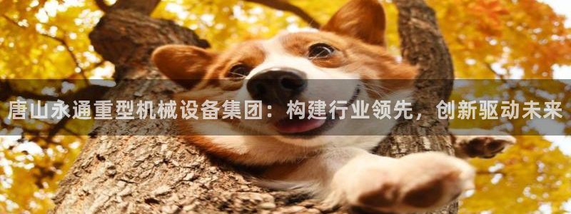 龙八国际客户端pt