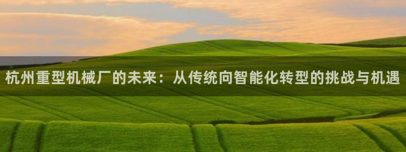 不会玩龙八国际