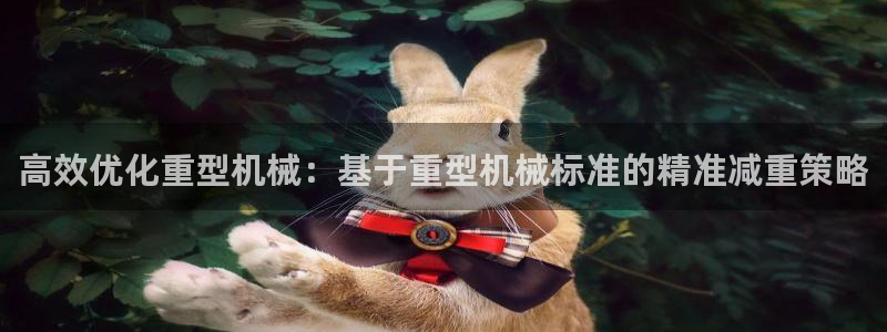 龙八国际华