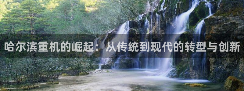 举报龙八国际