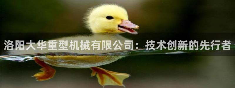 龙八国际官方网址