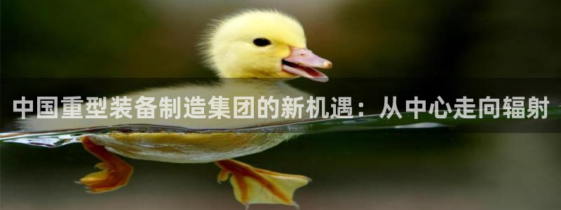 龙八国际app电话