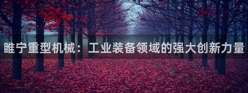 龙八国际娱乐官方网站