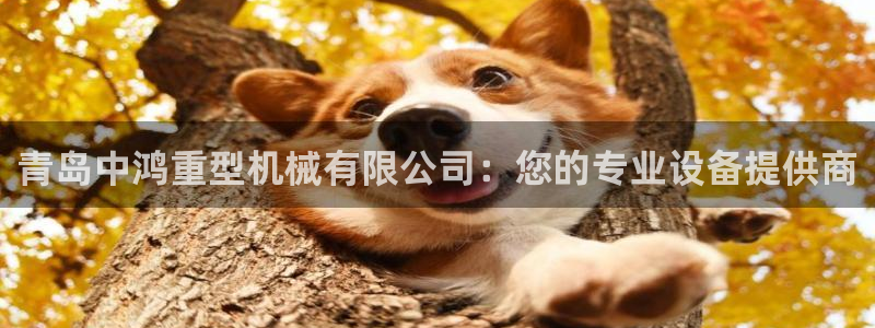 龙八国际app客户端经济区