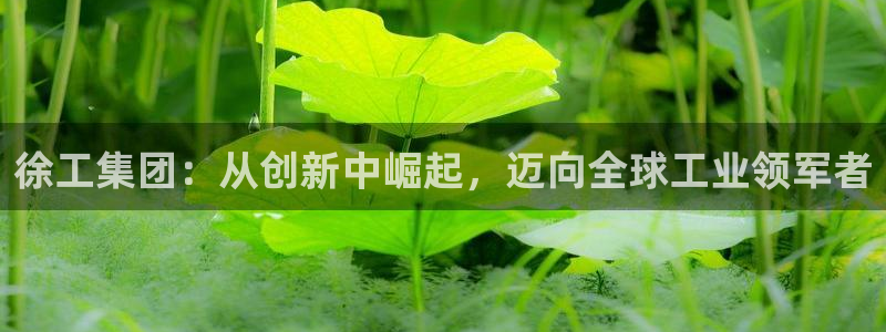 龙八国际平台可靠吗