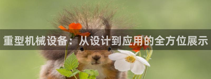 龙八国际棋牌官方网站