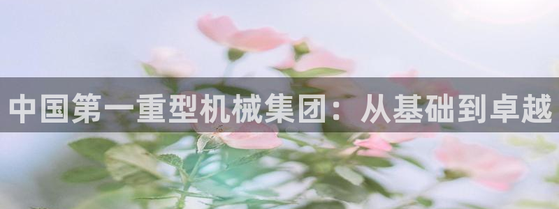 龙八国际娱乐平台网站