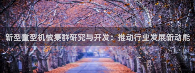 龙八国际网页