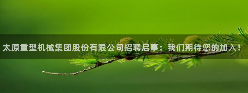龙八国际登官网