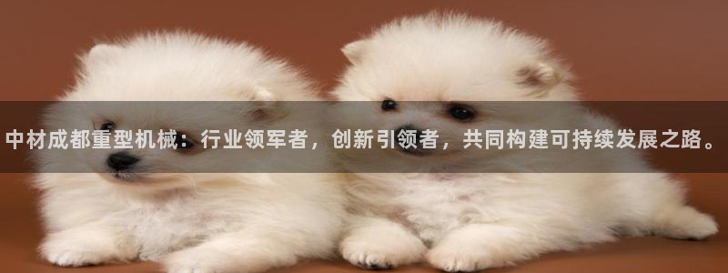 龙八国际app手机版下载安卓