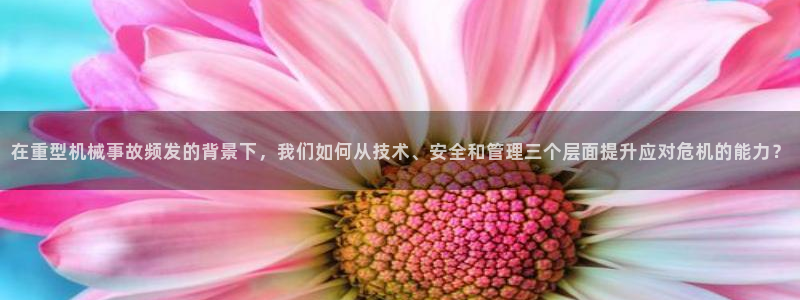 龙八国际娱乐
