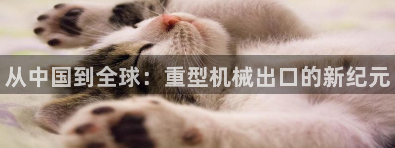 龙八国际可以京东充值吗